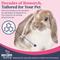 Show in main carousel: Secure SecureBunny™ Home Calming Diffuse Refill for Rabbit, 2.7-fl oz slide 4 of 7