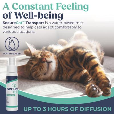 Show full view: Secure SecureCat™ Transport Calming Spray for Cats, 1.69-fl oz slide 3 of 7