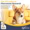 Show in main carousel: Secure SecureDog™ Home Calming Diffuser for Dogs, 2.7-fl oz slide 7 of 8
