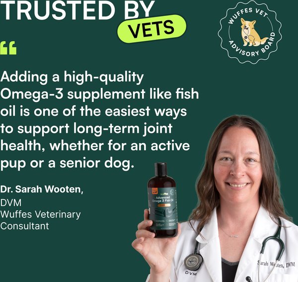 Show full view: Wuffes Advanced Omega 3 Fish Oil for Healthy Skin & Coat Supplement for Dogs, 16-fl oz bottle slide 3 of 9