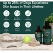 Show in main carousel: Wuffes Advanced Omega 3 Fish Oil for Healthy Skin & Coat Supplement for Dogs, 16-fl oz bottle slide 6 of 9