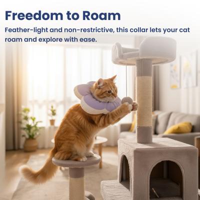 Show full view: PawsPik Plush Flower Dog & Cat Recovery Collar, Purple, Medium slide 10 of 11