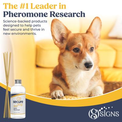 Show full view: Secure SecureDog™ Home Calming Diffuser Refill for Dogs, 2.7-fl oz slide 7 of 7