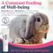 Show in main carousel: Secure SecureBunny™ Adventure Calming Cream for Rabbit, 0.34-fl oz slide 2 of 7