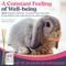 Show in main carousel: Secure SecureBunny™ Home Calming Diffuse Refill for Rabbit, 2.7-fl oz slide 2 of 7
