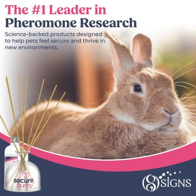 Show full view: Secure SecureBunny™ Home Calming Diffuser for Rabbit, 2.7-fl oz slide 6 of 7