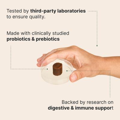 Show full view: Wuffes Digestive Probiotics with Digestive Enzymes Flavored Soft Chew for Itchy Skin & Gut Supplement for Dogs, 60 count slide 6 of 8