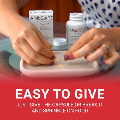 Show full view: Apocaps CX Apoptogen Formula Dog Supplement, 90 count slide 4 of 10