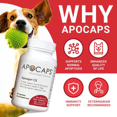Show full view: Apocaps CX Apoptogen Formula Dog Supplement, 90 count slide 3 of 10