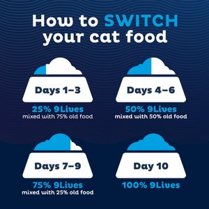 9 Lives Pate Favorites Variety Pack Canned Cat Food, 5.5-oz, case of 12