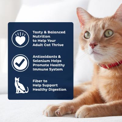 Show full view: 9 Lives PLUS Urinary Tract Health Dry Cat Food, 3.15-lb bag slide 6 of 11