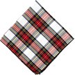 Show in main carousel: The Worthy Dog Stewart Tartan Red Dog Bandana, Small slide 4 of 4