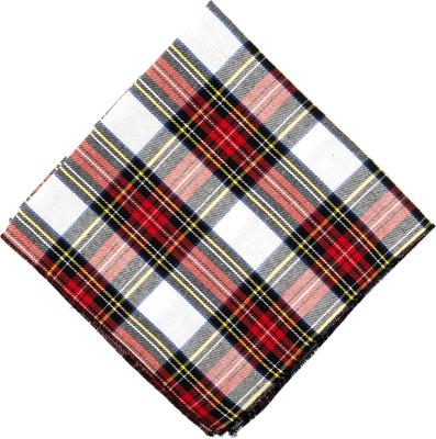 Show full view: The Worthy Dog Christmas Stewart Tartan Red Dog Bandana, Small slide 4 of 4