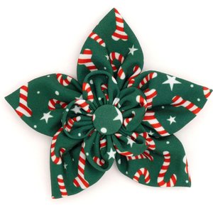 The Worthy Dog Gingerbread Flower Dog Collar Accessory