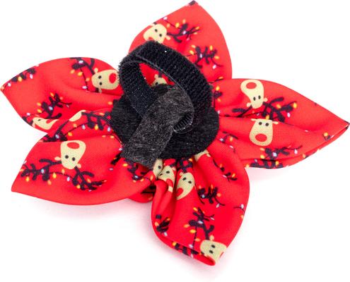 Show full view: The Worthy Dog Christmas Rudy Flower Dog Collar Accessory, Small slide 2 of 4