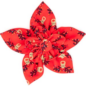 The Worthy Dog Christmas Rudy Flower Dog Collar Accessory, Small