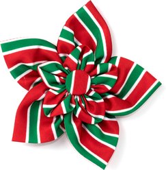 The Worthy Dog Christmas Holiday Stripe Flower Dog Collar Accessory, Small