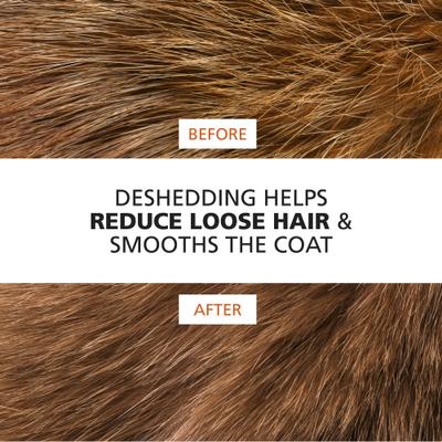 Show full view: Wahl Dog Shedding Blade, Orange/White slide 9 of 10