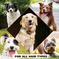 Wahl Cornflower Scented Puppy & Dog Deodorant Spray, Clear/Pink, 8-fl oz bottle slide 2 of 7