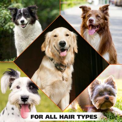 Show full view: Wahl Cornflower Scented Puppy & Dog Deodorant Spray, Clear/Pink, 8-fl oz bottle slide 7 of 7