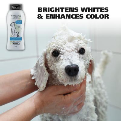 Show full view: Wahl Whitening Brightening Formula Dog Shampoo, White Pear Scent, Light Blue/Blue, 24-oz bottle slide 3 of 11