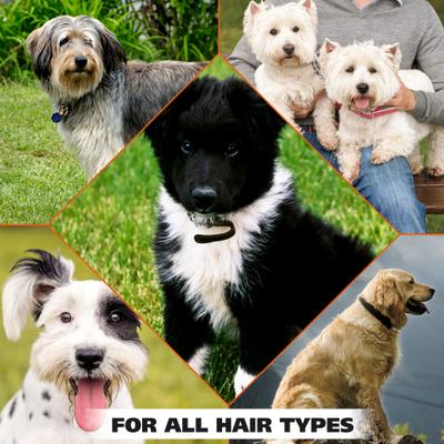 Show full view: Wahl Eucalyptus & Spearmint Scented Dog Deodorant Spray, Clear/Dark Green, 8-fl oz bottle slide 8 of 8