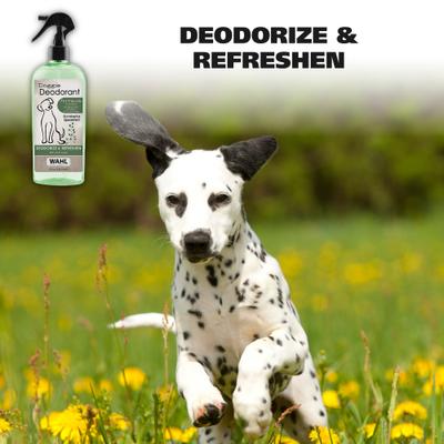 Show full view: Wahl Eucalyptus & Spearmint Scented Dog Deodorant Spray, Clear/Dark Green, 8-fl oz bottle slide 4 of 8