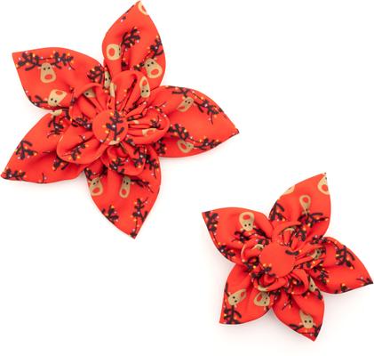 Show full view: The Worthy Dog Christmas Rudy Flower Dog Collar Accessory, Small slide 3 of 4