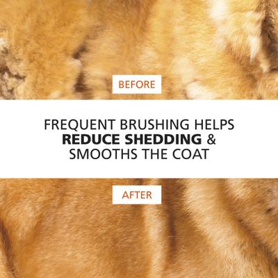 Show full view: Wahl Slicker Dual Level Dog Brush, Orange/White, Large slide 9 of 10