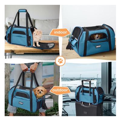 Show full view: Jespet Soft-Sided Dog & Cat Carrier Bag, Teal Blue, 19-in slide 7 of 9