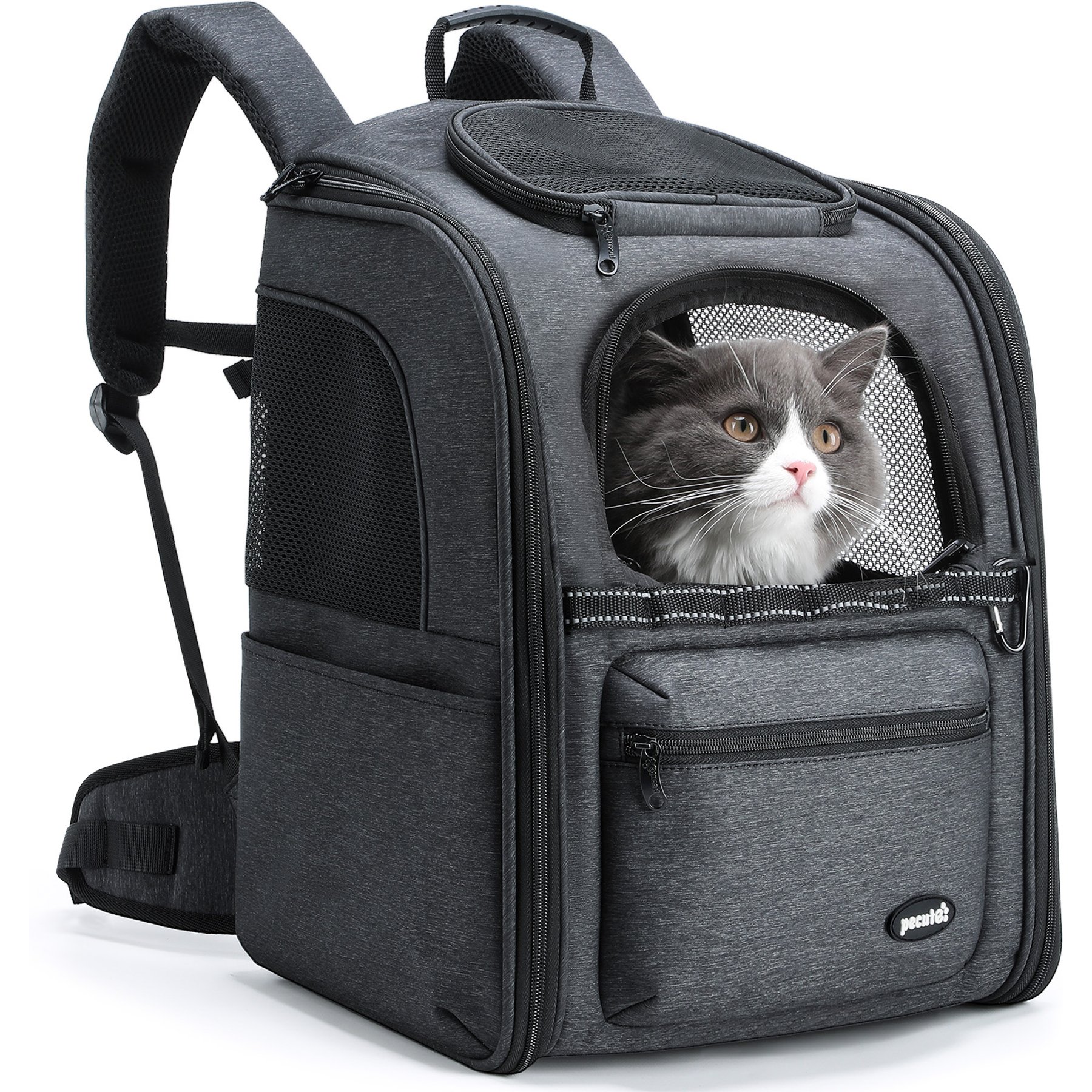Pecute Ergonomic Hiking Breathable Backpack Dog & Cat Carrier, Grey