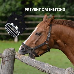Best Friend Grazing Horse Muzzle, Cob slide 2 of 6