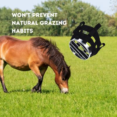 Show full view: Best Friend Grazing Horse Muzzle, Cob slide 5 of 6