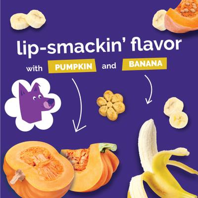 Show full view: Fruitables Pumpkin & Banana Flavor Dog Treats, 12-oz bag slide 9 of 13