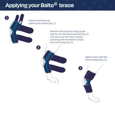 Show full view: Balto Dog Hock Brace, X-Small slide 5 of 11