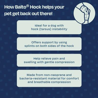 Show full view: Balto Dog Hock Brace, X-Small slide 7 of 11