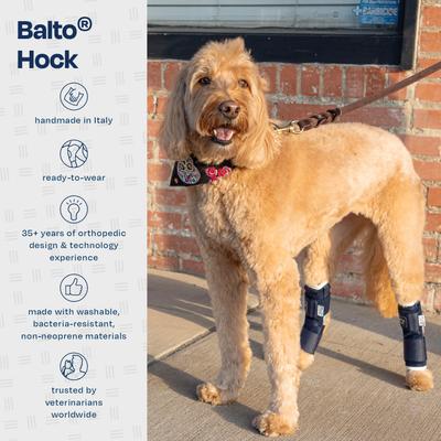 Show full view: Balto Dog Hock Brace, X-Small slide 8 of 11