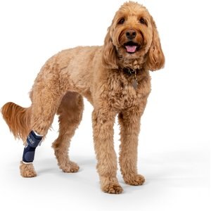 canine knee labra knee brace