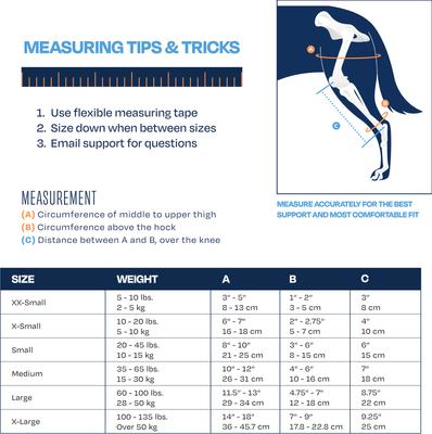 Show full view: Balto Jump Dog Knee Brace, Small- Left slide 4 of 9