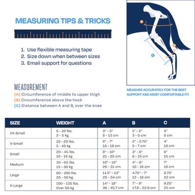 Show full view: Balto Jump Dog Knee Brace, XX-Small- Left slide 4 of 10