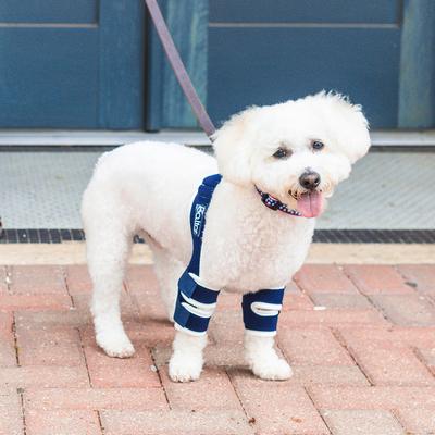 Show full view: Balto Soft Plus Dog Double Elbow Brace, Small slide 8 of 10