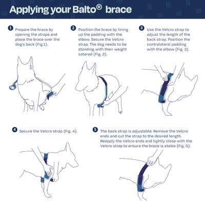 Show full view: Balto Soft Plus Dog Double Elbow Brace, Small slide 5 of 10