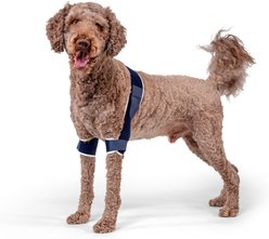 Balto Soft Plus Dog Double Elbow Brace, Large