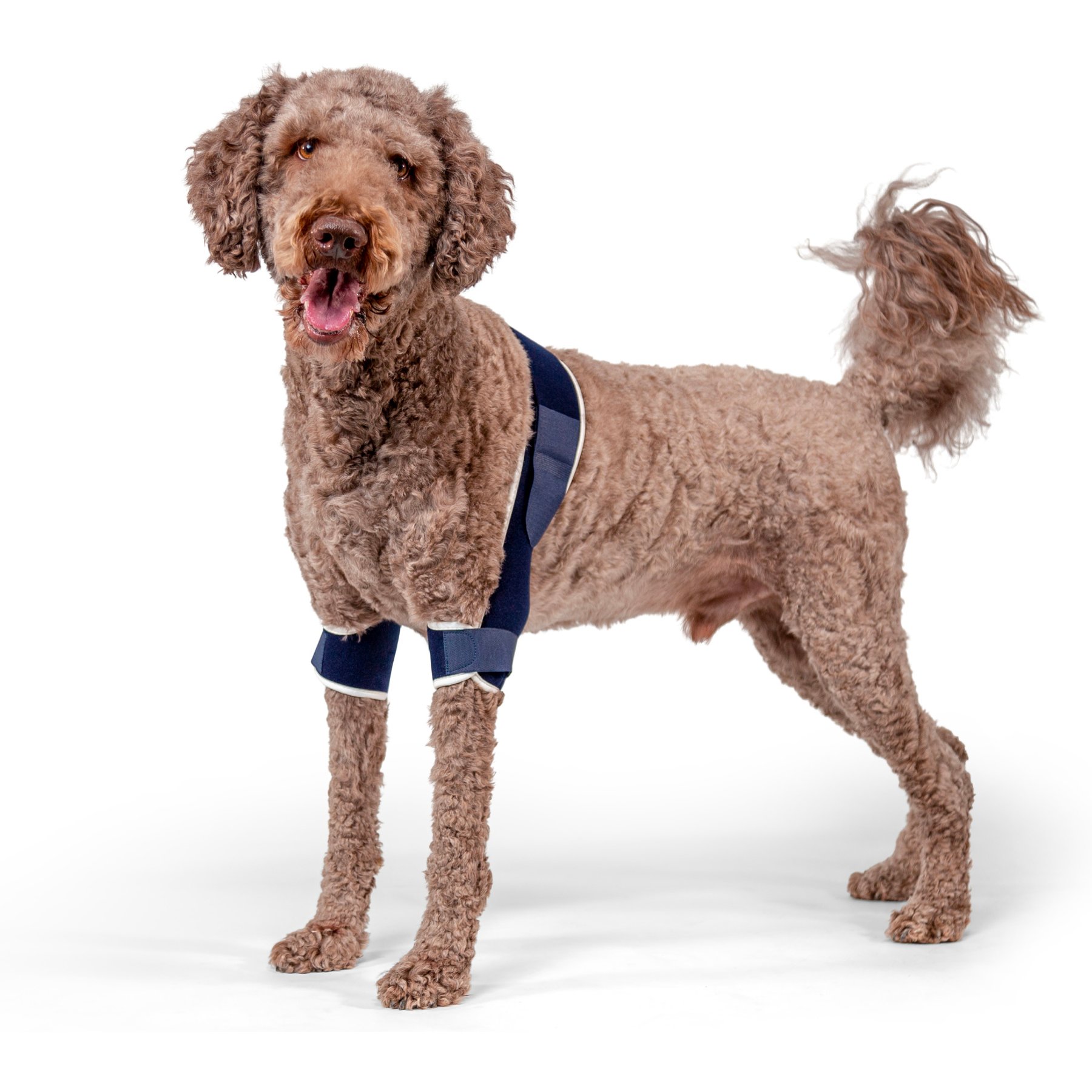 Balto Soft Plus Dog Double Elbow Brace, Medium