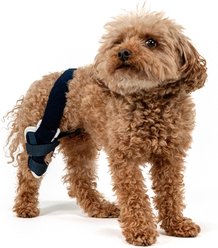 Balto Jump Dog Knee Brace, XX-Small- Right