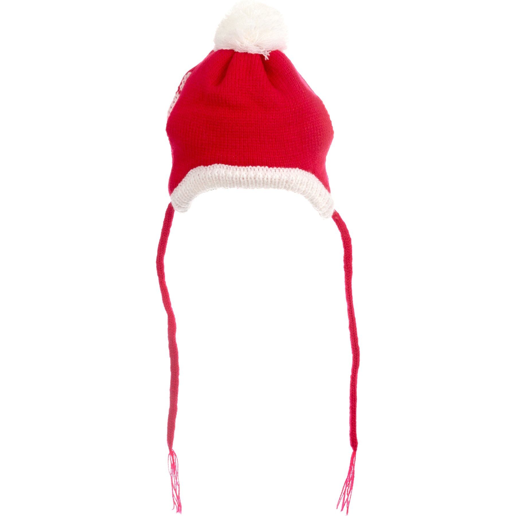The Worthy Dog Christmas Santa Dog Hat, X-Small