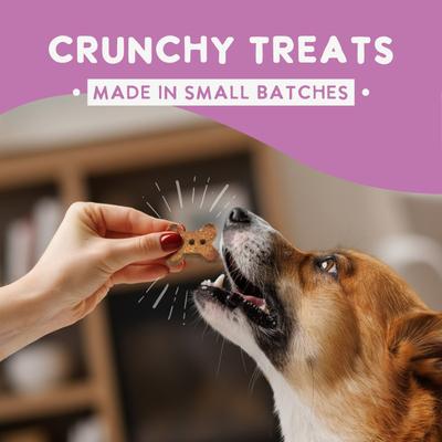 Show full view: Health Extension Oven Baked Peanut Butter Treats, 2.25-lb bag slide 5 of 9