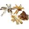 Show in main carousel: HDP Natural Ears Sample Set Dog Natural Chew, Small/Medium slide 3 of 4