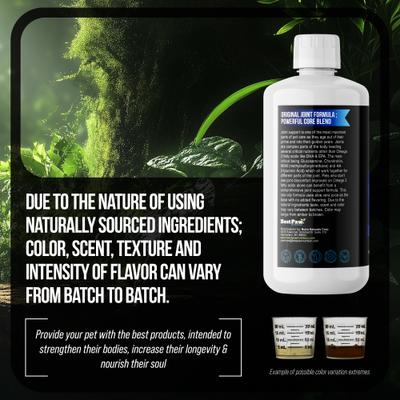 Show full view: Best Paw Nutrition Original Dream Glucosamine Unflavored Liquid Joint Support Supplement for Dogs & Cats, 32-fl oz bottle slide 6 of 10