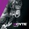 Show in main carousel: 4CYTE Epiitalis Forte Liquid Horse Joint Supplement, 250-mL bottle slide 7 of 8